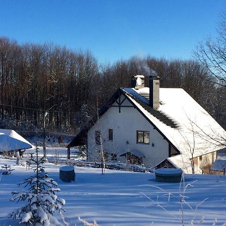 Dolyna Mykolaya Villa Mihovo Kültér fotó