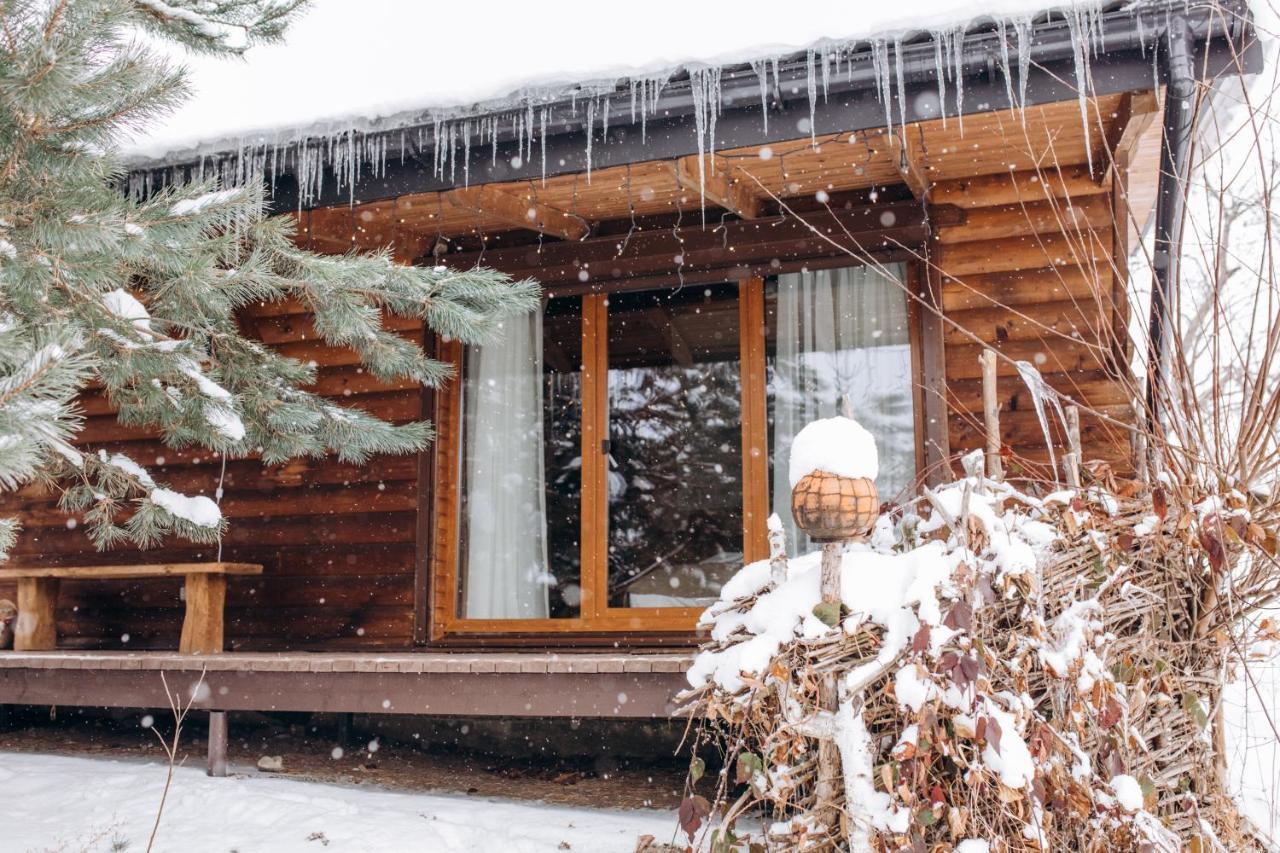 Dolyna Mykolaya Villa Mihovo Kültér fotó