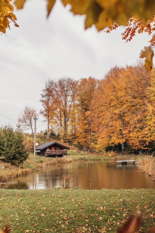 Dolyna Mykolaya Villa Mihovo Kültér fotó